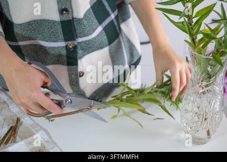 Hands trim bamboo stalks with scissors. Green leaves cascade into a clear glass vase. Plaid shirt adds casual, earthy charm. Bright, clean table highl Stock Photo