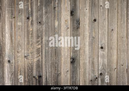 Rustic Vertical Weathered Grey Wooden Planks Texture Background with Knots Stock Photo