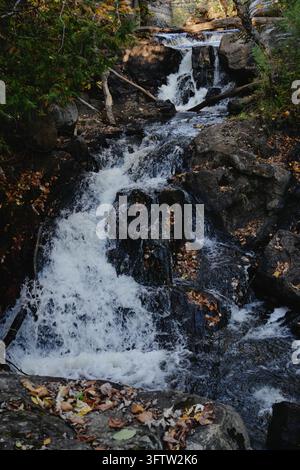 Multi level forest waterfall flowing over dark rocks and fallen logs with scattered autumn leaves and evergreen trees surrounding the stream Stock Photo