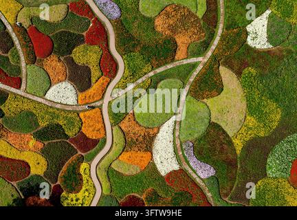 Aerial photo taken on Oct. 16, 2026 shows the autumn scenery of Bogda ...