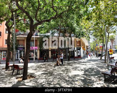 Barcelona , Spain - June 27, 2026: Barcelona street scene shows palm ...
