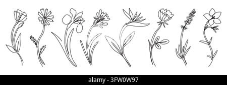Line flowers. Outline spring art pattern, simple thin rose ornament or continuous floral leaf. Black and white elegant tulip, minimal hand drawn wildflower. Vector icons isolated nature illustration Stock Vector