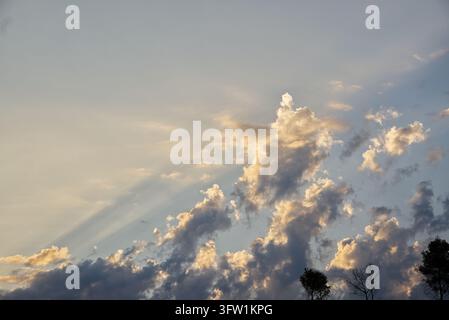 Golden crepuscular sun rays breaking through dramatic cumulus clouds over silhouetted treetops at sunset Stock Photo