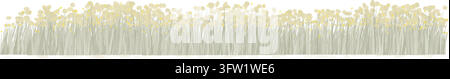 Vector Illustration of Yellow Wild Flowers and Green Grass Border Isolated on White Background with Detailed Stems and Blossoms in Horizontal Row Stock Vector