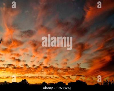 Dramatic sunset with intense orange-red clouds and silhouetted trees in the sky Stock Photo