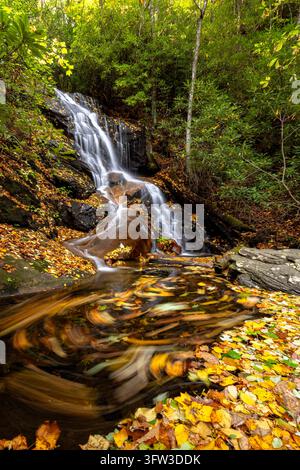 Swirling autumn leaves below Log Hollow Falls, Pisgah National Forest near Brevard, North Carolina, USA Stock Photo