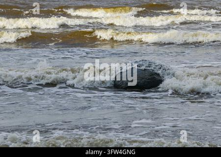 Powerful ocean waves crash over a dark coastal rock, creating textured white foam and swirling seawater. A natural seascape capturing the dynamic move Stock Photo