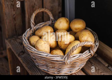 Fresh yellow potatoes in a wicker basket on a rustic wooden shelf, harvest still life Stock Photo