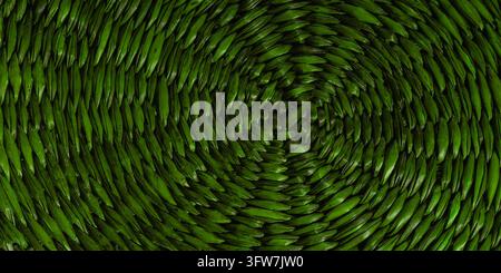 Green Woven Straw Texture with Organic Spiral Pattern Stock Photo