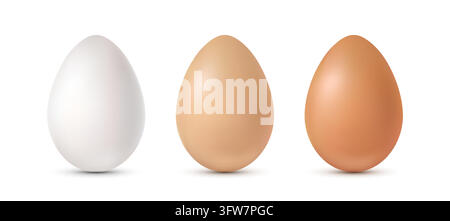 Three chicken eggs of white, brown and brownish-brown colors on a white background. Stock Vector