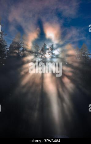 Colorful Cloud Iridescence and Sunbeams Bursting Through Mist and Forest Canopy Stock Photo