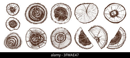 Wood slices combine concentric annual rings with cut segments and cracked stump details in a hand drawn set for timber branding, natural packaging, forest graphics and rustic print design Stock Vector