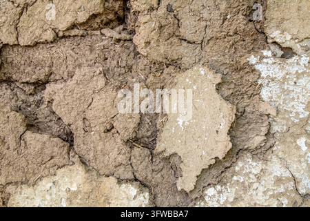 Close-up view of an old cracked mud wall made of traditional adobe, cob, and straw. Weathered earthen texture background showcasing natural building m Stock Photo