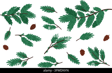 Pine branches. Fir twigs with cones. Christmas decorations. Winter holiday arrangement. New Years greenery from conifers. Evergreen plant. Botanical Stock Vector