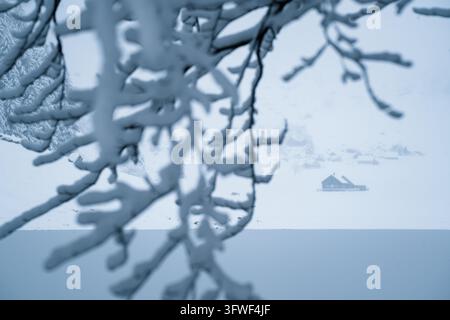 View of a small wooden cabin nestled in a snow-covered landscape with snow-laden tree branches in the foreground in Switzerland. Stock Photo