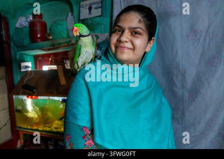 Smiling young woman in a turquoise headscarf with a parakeet on her shoulder, Jammu and Kashmir, Srinagar, India Stock Photo