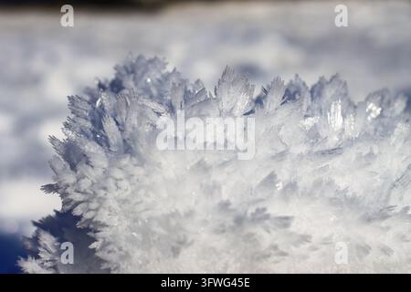 View of intricate ice crystals formed on dry grass in Vrnjacka Banja, Raska District, Serbia. Stock Photo