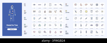 A vector collection of colorful line art medical icons illustrating head to toe health, organs, symptoms, and clinical care. Stock Vector