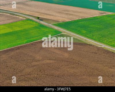 Aerial view of agricultural fields with different crops, a small road, and a single tree in Hombourg, Grand Est, France. Stock Photo