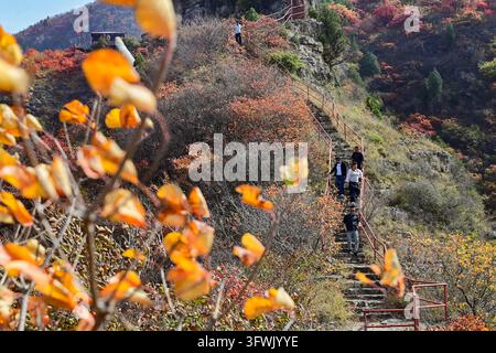 Tourists enjoy autumn leaves at Tianci Mountain scenic area in Miaozi ...