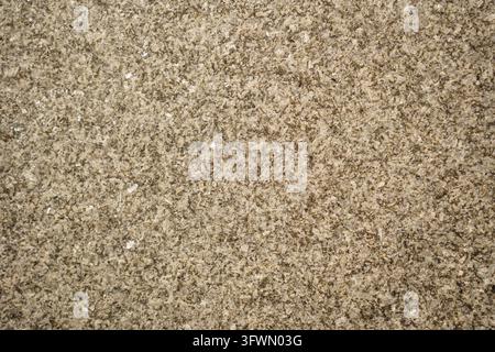 Close up of a natural granite stone surface with speckled grey and beige mineral grains, creating a dense, rustic architectural texture, architectural material backdrop Stock Photo