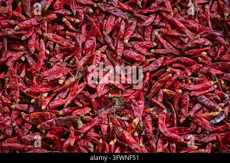 A full-frame top view displays numerous dried red chilies with wrinkled skins and stems. Stock Photo