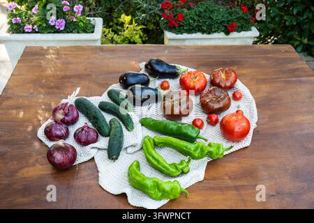Fresh tomatoes, eggplants, cucumbers, peppers, and red onions arranged on a striped cloth over a rustic wooden table, with colorful garden flowers in Stock Photo