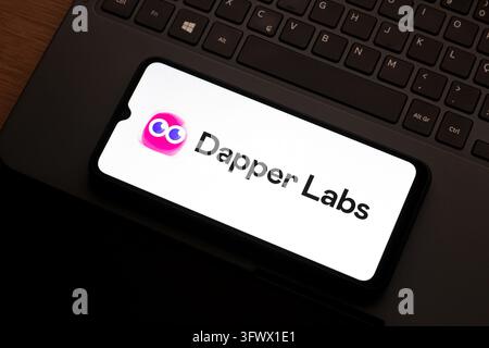 In this photo illustration, the Dapper Labs logo is seen displayed on a ...