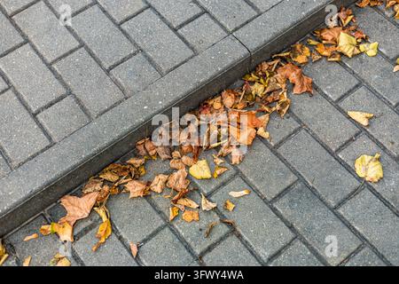 A pile of dry yellow and brown leaves rests against a gray stone step curb on a paved sidewalk. Top-down perspective emphasizes the geometric concrete Stock Photo