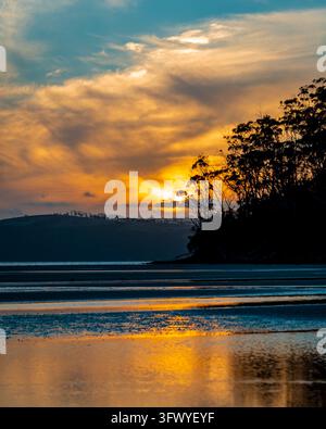 Trees silhouetted against an orange sunset sky above calm water. Taken in Australia. Stock Photo