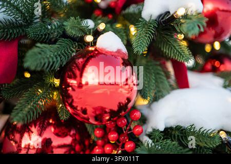 Closeup of shiny red Christmas ball covered with fresh snow hanging on evergreen tree among glowing string lights and red berries. Reflective ornament Stock Photo