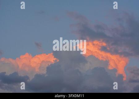 sunset sky filled with large, billowing cumulus clouds glowing with warm pink and orange light against a darker blue and grey backdrop, Stock Photo
