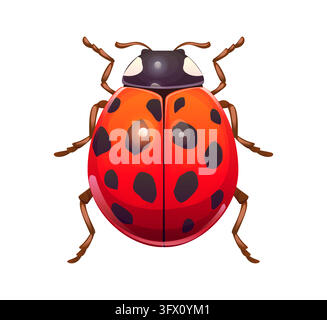 Cartoon ladybug and ladybird insect animal, red lady bird beetle character. Funny and cute bug personage with shiny red shell featuring black spots an Stock Vector