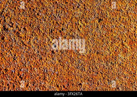 Close up view of highly detailed rusty metal sheet surface texture with deep orange iron corosion pattern Stock Photo