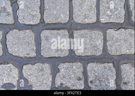 Top view of square granite cobblestone pavement with dark asphalt sealant joints. Stock Photo