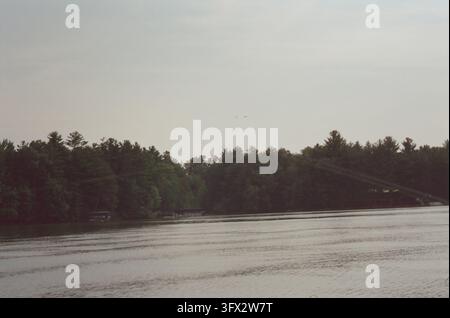 A serene waterfront landscape featuring a calm body of water reflecting an overcast sky, bordered by a dense line of tall evergreen and mixed trees. A Stock Photo