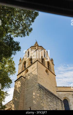 Low-angle view of a stone bell tower framed by foliage against a blue sky in Avignon, France. Leaf shadows fall across the stonework, and a dark band Stock Photo