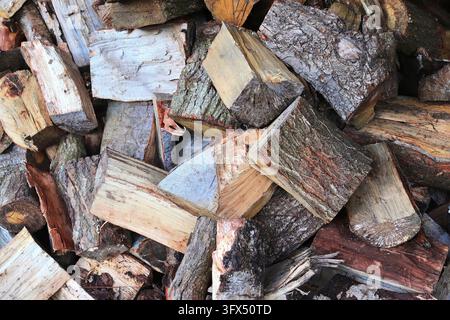 Detailed close up texture of stacked firewood with annual rings in high resolution Stock Photo
