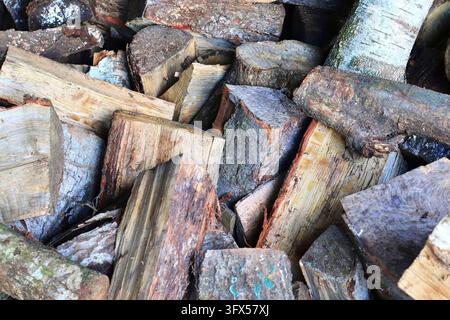 Detailed close up texture of stacked firewood with annual rings in high resolution Stock Photo