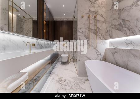 High-end modern bathroom design featuring natural white marble with gray veining, floating vanity and dark wood cabinetry Stock Photo
