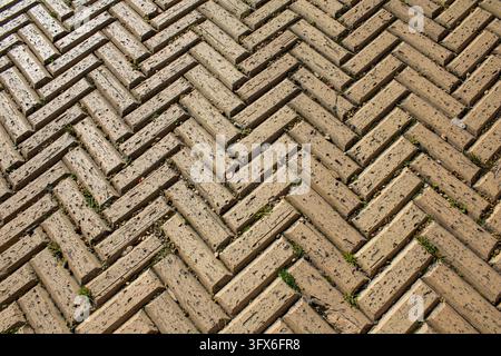 Top-down close-up of a tan herringbone brick pavement pattern, usable as a background texture, Prospect Park, Brooklyn. Stock Photo