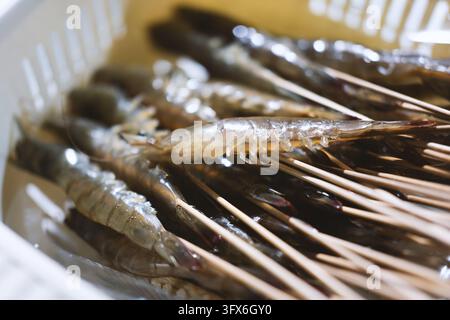 Fresh raw shrimp on wooden skewers arranged in a white plastic colander, ready for grilling or steaming, typical of Southeast Asian street food markets in Thailand or Vietnam, with glistening shells and visible texture under natural daylight Stock Photo