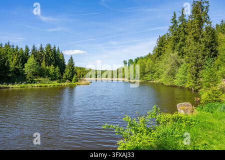 landscape of a little lake on a sunny day in a valley in the hunts by Turn and Taxis in early summer near Regensburg , Upper Palatinate, Bavaria Stock Photo