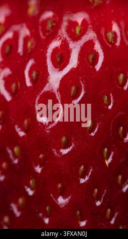 Tall extreme close-up of vivid strawberry surface with seeds and glossy red texture. Striking vertical background for mobile advertising, food campaig Stock Photo