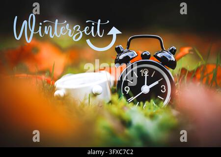 FOTOMONTAGE, Umgekippter weißer Wecker mit Sommerzeit und schwarzer Wecker mit Winterzeit zwischen Herbstblättern, Symbolfoto Zeitumstellung, digital bearbeitet Hamburg Hamburg Deutschland ** NUR FÜR REDAKTIONELLE ZWECKE ** EDITORIAL USE ONLY ** *** PHOTOMONTAGE: An overturned white alarm clock set to daylight saving time and a black alarm clock set to standard time among autumn leaves symbolic image of the time change digitally edited in Hamburg, Germany ** FOR EDITORIAL PURPOSES ONLY ** EDITORIAL USE ONLY ** Stock Photo