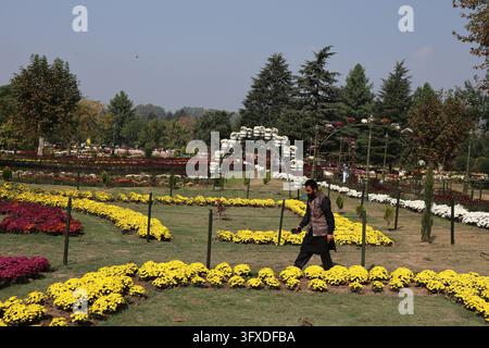 SRINAGAR, INDIA - OCTOBER 22: Visitors stroll along flower-lined ...