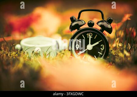 Umgekippter weißer Wecker mit Sommerzeit und schwarzer Wecker mit Winterzeit zwischen Herbstblättern, Symbolfoto Zeitumstellung, digital bearbeitet Hamburg Hamburg Deutschland ** NUR FÜR REDAKTIONELLE ZWECKE ** EDITORIAL USE ONLY ** *** An overturned white alarm clock set to daylight saving time and a black alarm clock set to standard time among autumn leaves symbolic photo of the time change, digitally edited in Hamburg, Germany ** FOR EDITORIAL PURPOSES ONLY ** EDITORIAL USE ONLY ** Stock Photo