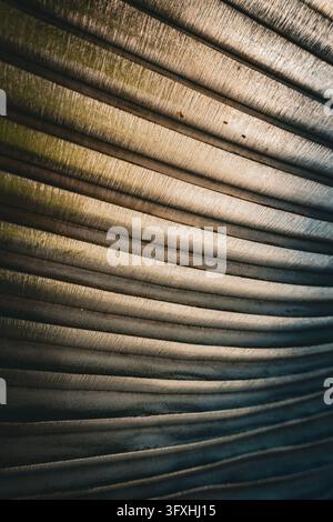Abstract close-up of weathered corrugated metal with sweeping parallel ridges, dark grooves and uneven natural light revealing its rough texture Stock Photo