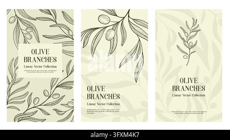 Three elegant olive label templates combine botanical branches with spacious typography areas, ideal for olive oil packaging, gourmet food branding, menus and Mediterranean products Stock Vector