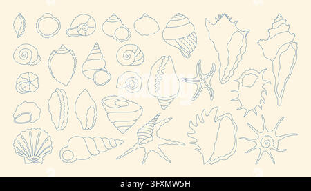 A set of seashells of various shapes and sizes. Vector illustration of shells in a linear style. Stock Vector